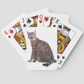 Naipes del gato de Bengala