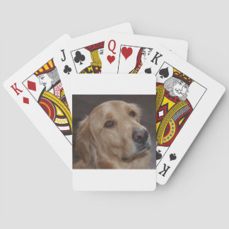 Naipes del golden retriever