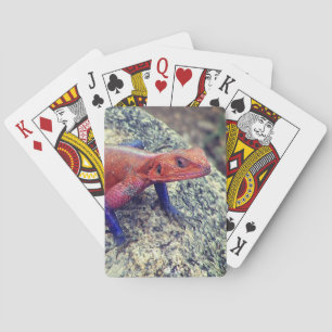 Naipes del lagarto