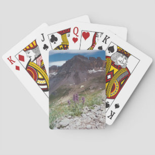 Naipes del Mt. Sneffels