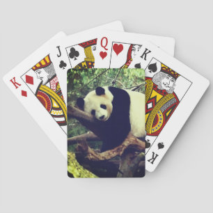 Naipes del oso de panda