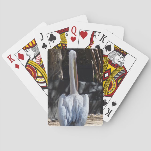 Naipes del pelícano blanco (Reverso)