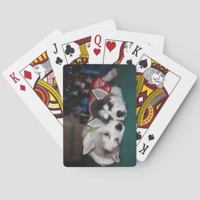 Naipes del perrito del husky siberiano (Reverso)