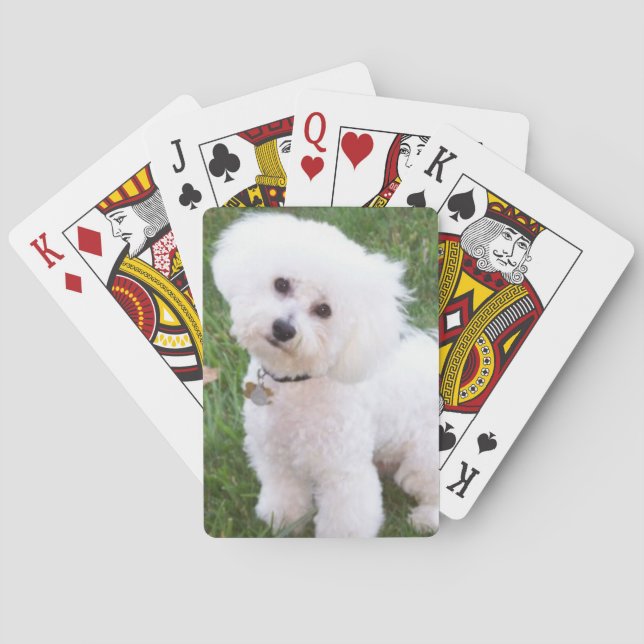 Naipes del perro de Bichon Frise (Reverso)
