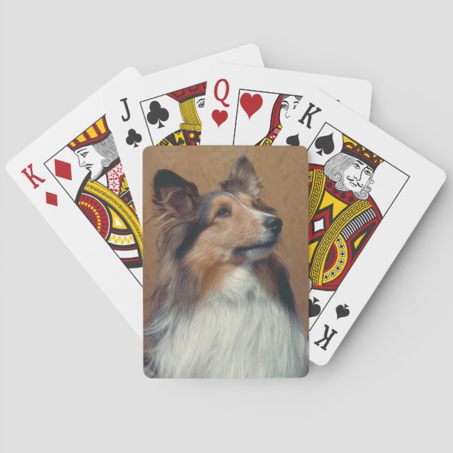 Naipes del perro del perro pastor de Shetland (Reverso)