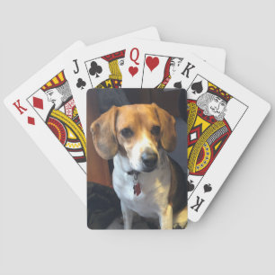 Naipes hermosos del beagle