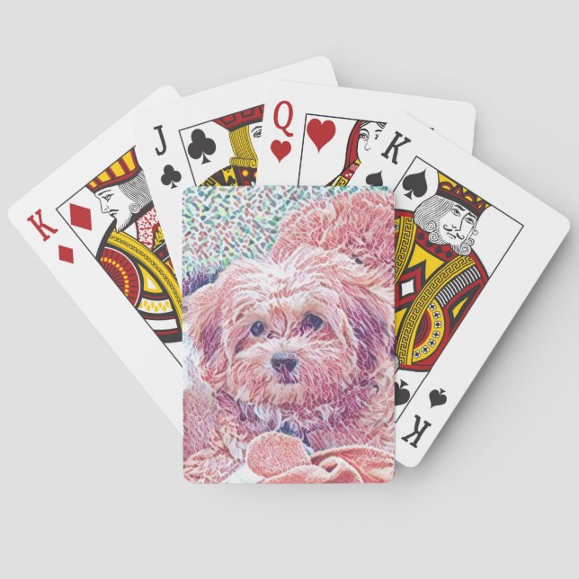Naipes lindos de Havanese (Reverso)