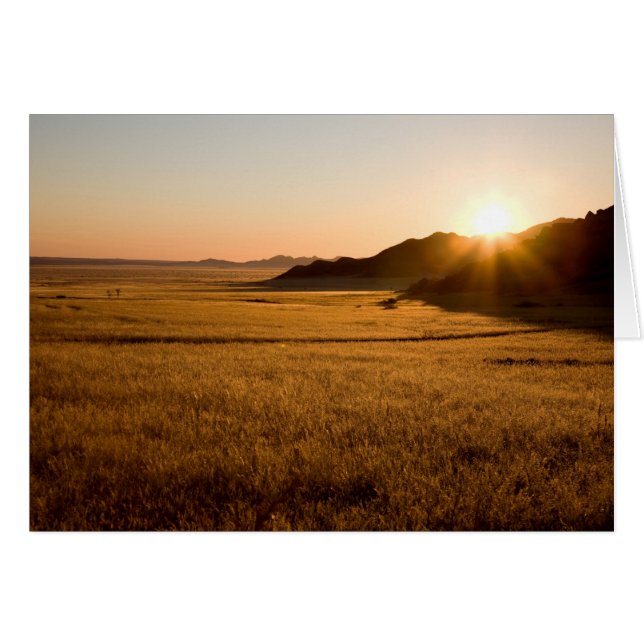 Namib Naukluft Park (Anverso (Horizontal))