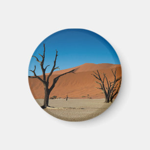 Namibia - árboles aterrorizados en el imán muert