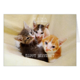 Nana, Trío de Gatitos Cálidos y Esponjosos Feliz C