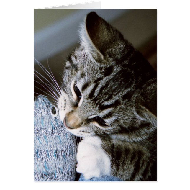 nancy con el ratón (Frente)