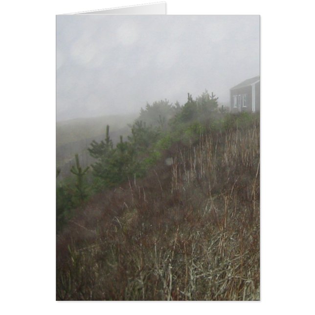 Nantucket Fog (Frente)
