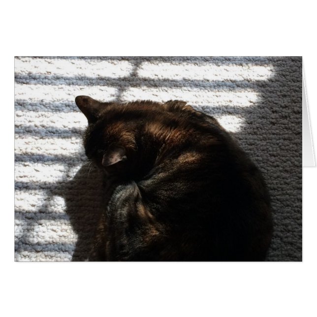 Nap de mediodía, tarjeta (Anverso (Horizontal))