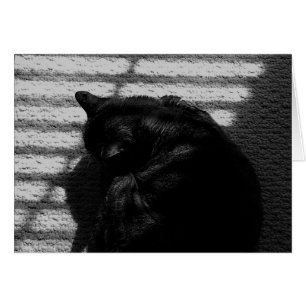 Nap Noontime / Noir, tarjeta