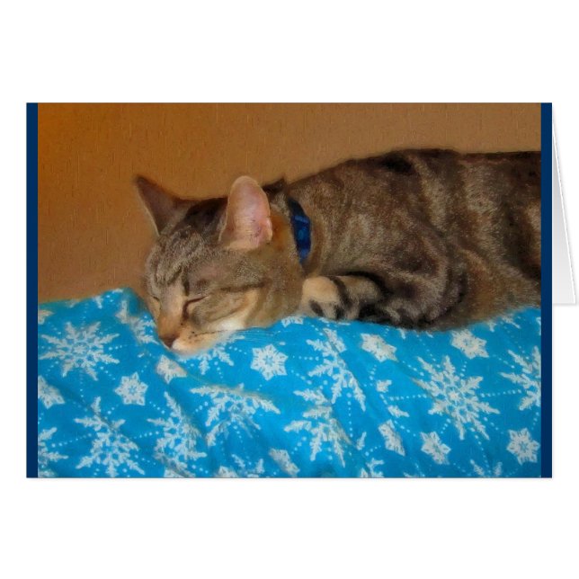 Nap Time For Indigo (Anverso (Horizontal))