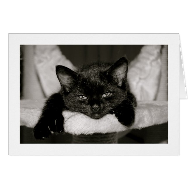 Nap With Me (Anverso (Horizontal))