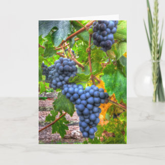 Napa Grapes Resumen Tarjeta de nota en blanco