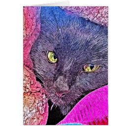 Napoleón en una manta