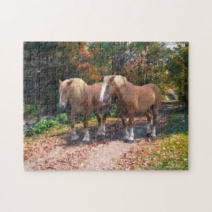 "Napoleón y Josefina" Puzzle