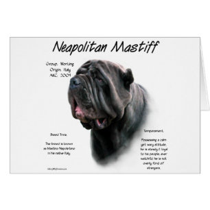 Napolitano Mastiff (blk) Diseño de Historia
