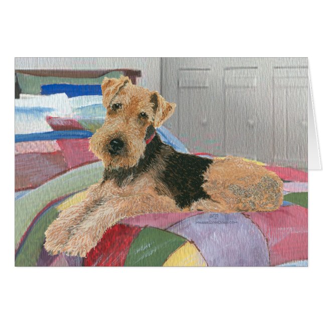 Naptime (Anverso (Horizontal))