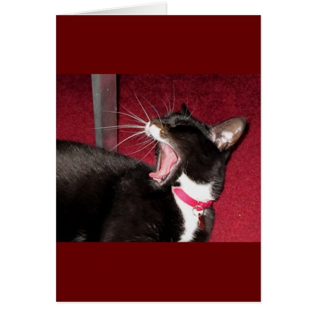 Naptime Para Lucy (Frente)