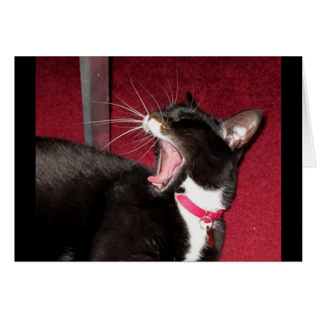 Naptime Para Lucy (Anverso (Horizontal))