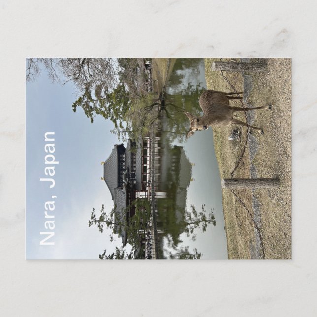 Nara, postal de Japón (Anverso)