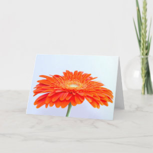 ¡"Naranja! "5" x 7" tarjeta de felicitaciones, en