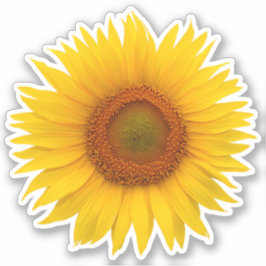 Naranja amarillo Flor de girasol Pegatina de besar
