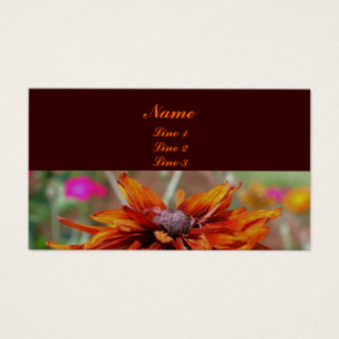 Naranja Black Eyed Susan Daisy Flower