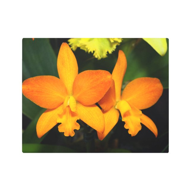 Naranja brillante Orquídea arte Metalizado en la p (Anverso)