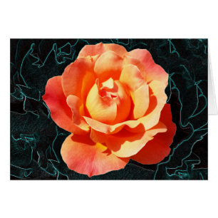 Naranja brillante rosa