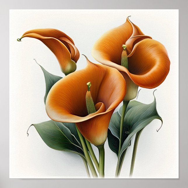 Naranja Calla Lilies Lily Poster de arte de flores (Frente)