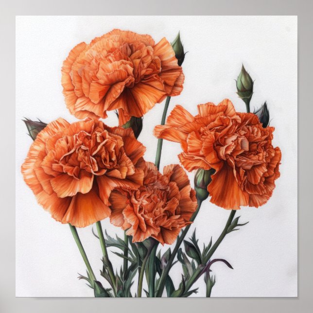 Naranja Carnations Poster de impresión de arte flo (Frente)