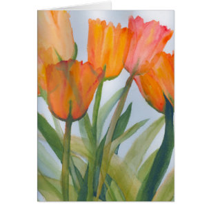 Naranja Citrus Tulips
