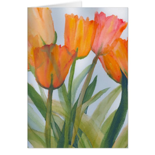 Naranja Citrus Tulips (Frente)