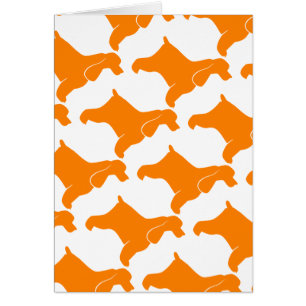 Naranja Cocker Spaniel