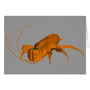 Naranja Cockroach