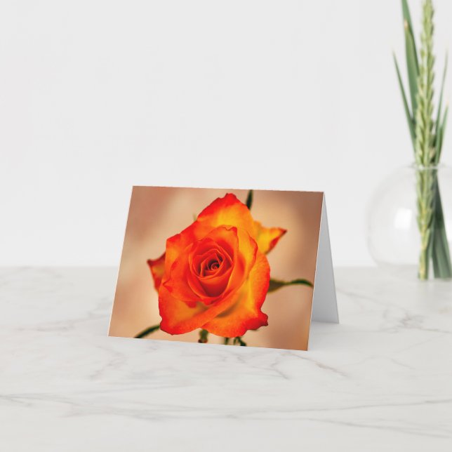 Naranja con un toque de tarjeta Yellow Rose Greeti (Anverso)
