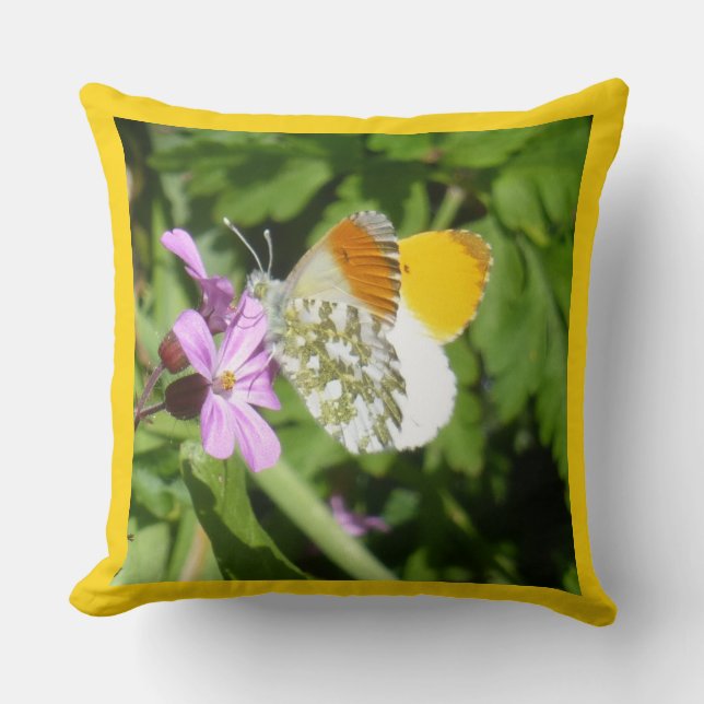 Naranja Consejo Mariposa Polvo. Cojín decorativo f (Anverso)