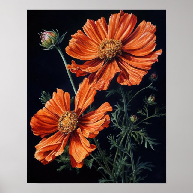 Naranja Cosmos Flores Poster de impresión de arte (Frente)