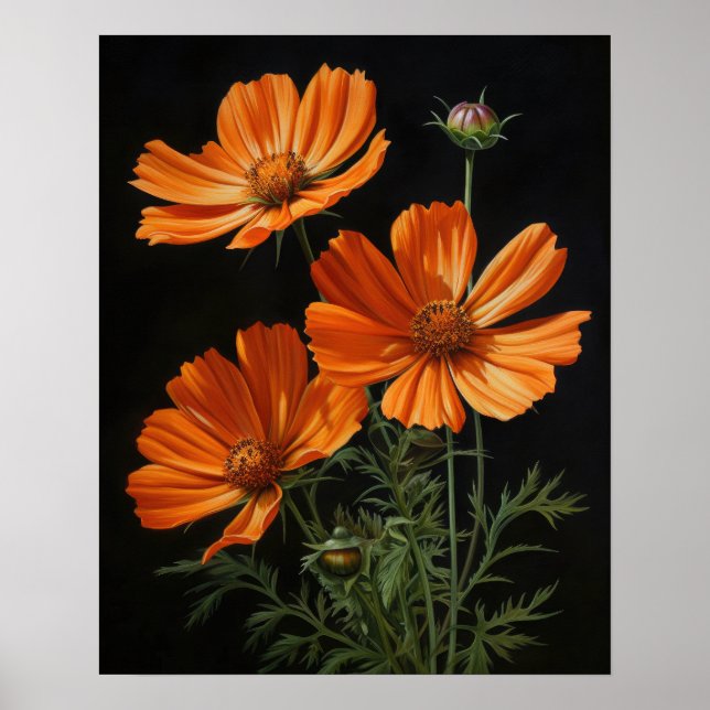 Naranja Cosmos Flores Poster de impresión de arte (Frente)