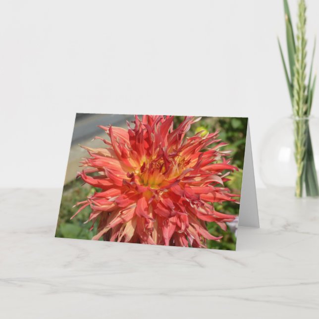 Naranja dahlia con tarjeta de nota (Anverso)