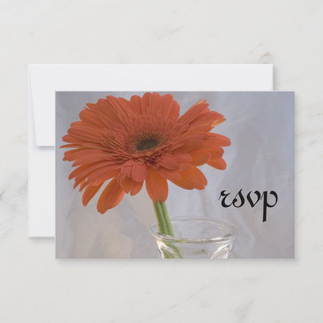 Naranja Daisy en la tarjeta de respuesta RSVP de b (Anverso)