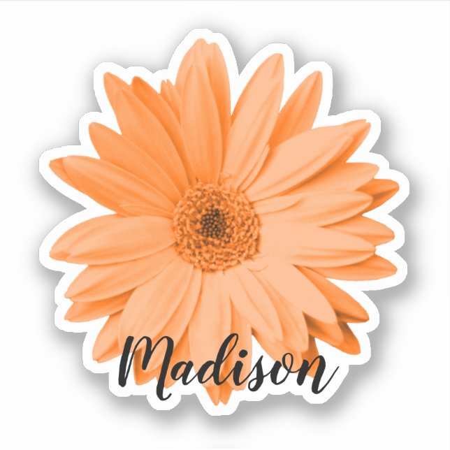 Naranja Daisy Flower Name Pegatina (Anverso)
