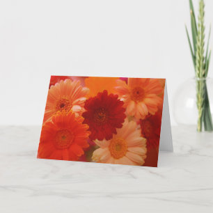 Naranja Daisy Flowers Foto nota o tarjeta de salud