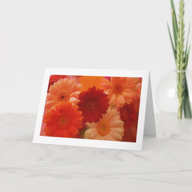 Naranja Daisy Flowers Foto Nota o Tarjetas de feli (Anverso)