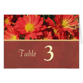 Naranja daisy flowers mesa de cena número de tarje