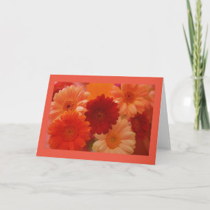 Naranja Daisy Flowers Photo Greeting o Tarjetas de